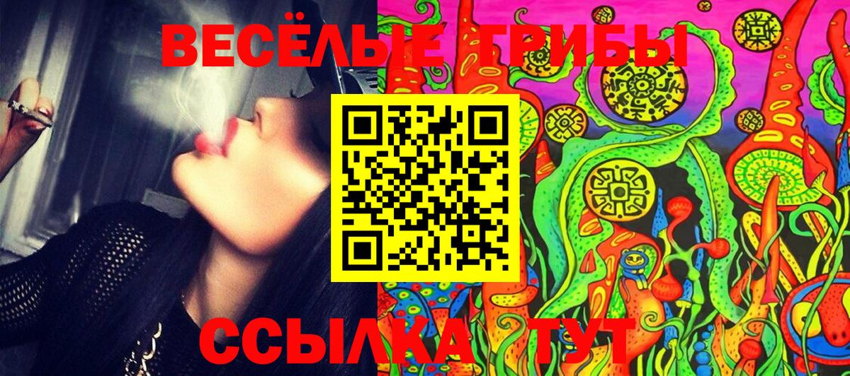 Псилоцибиновые грибы Cubensis  Псилоцибиновые грибы GOLDEN TEACHER  Курск  Вход с VPN 